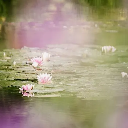 App 4 - T3 Calme Et Spacieux Hyper Centre 5 Min Gare * Évreux